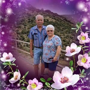 Meet your Posher, Dianne